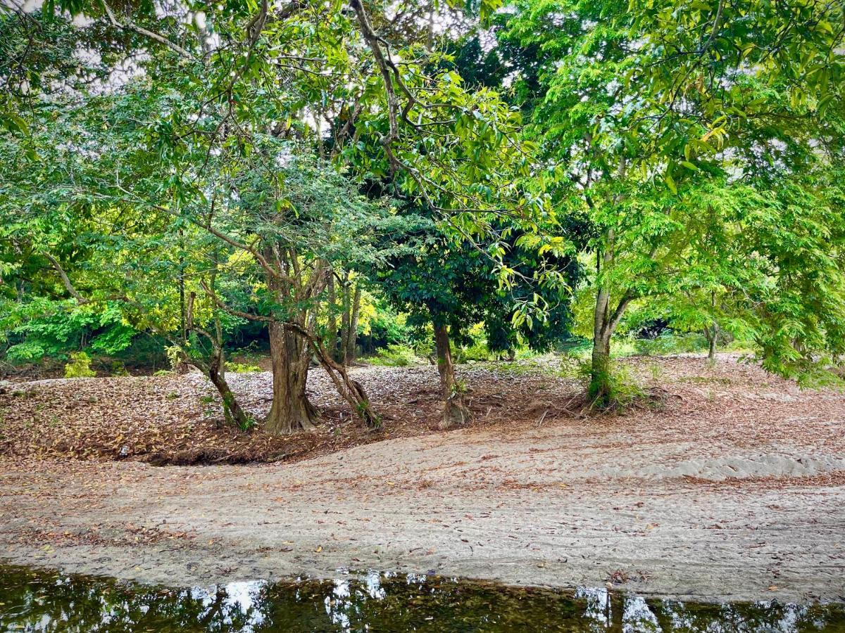Tayrona Suites El Zaino Buitenkant foto