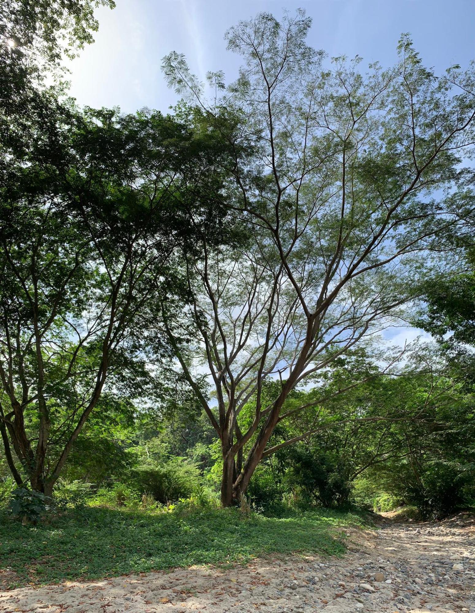 Tayrona Suites El Zaino Buitenkant foto